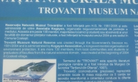 Rezervatia naturala muzeul Trovantilor Costesti poza